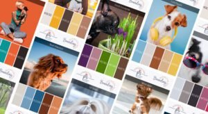 Pet-business-branding-board-inspiration-banner-1